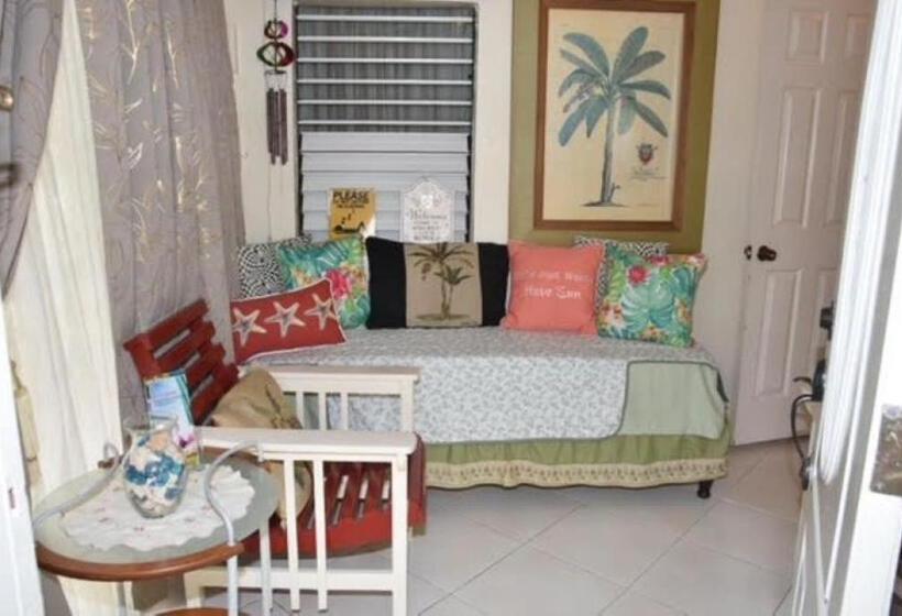اتاق عادی, Aileen Palm Cove Ja