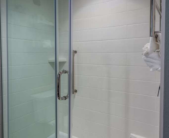 Номер Стандарт Кровать Кинг Адаптированный для Инвалидов, Hilton Garden Inn Flint Downtown