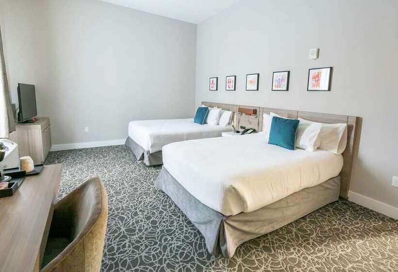 Номер Стандарт, Hilton Garden Inn Flint Downtown