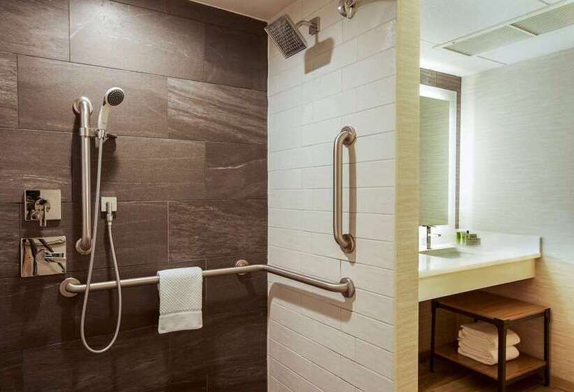 Номер Стандарт, Hilton Garden Inn Flint Downtown