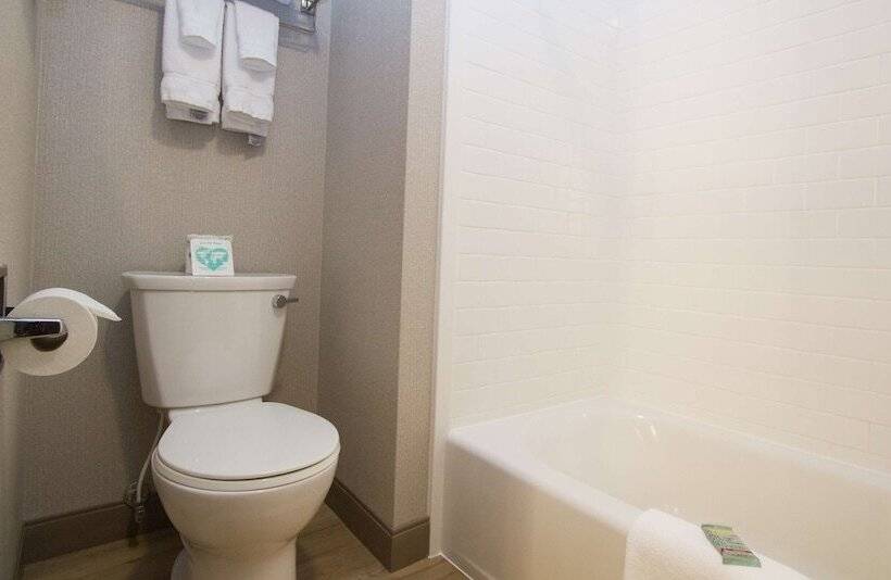 Номер Стандарт 2 Двуспальные Кровати, Best Western Holiday Hills