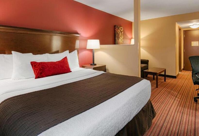 Номер Стандарт Кровать Кинг Адаптированный для Инвалидов, Best Western Woodland Inn