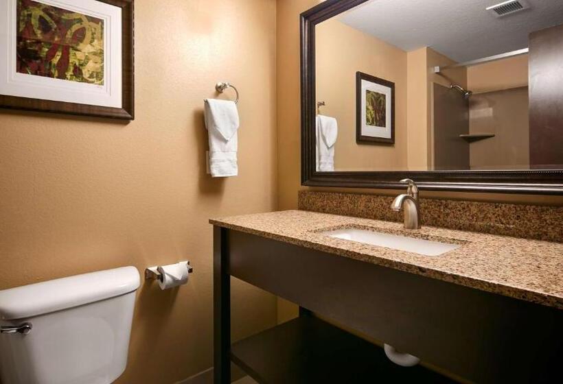 Стандартный Номер Кровать Кинг, Best Western Woodland Inn
