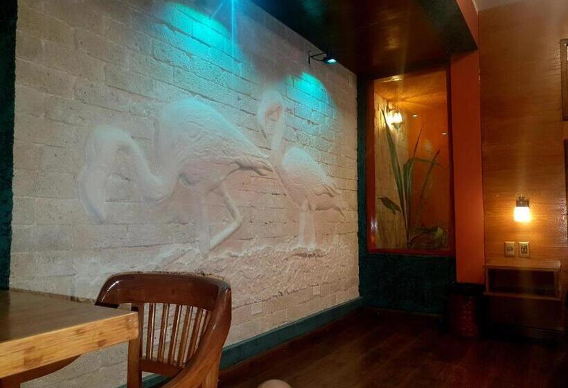 سوییت لوکس, Hostal Cagnapa Restobar