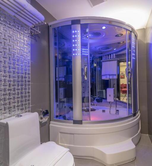 سوییت اجرایی, South Hotel Suites