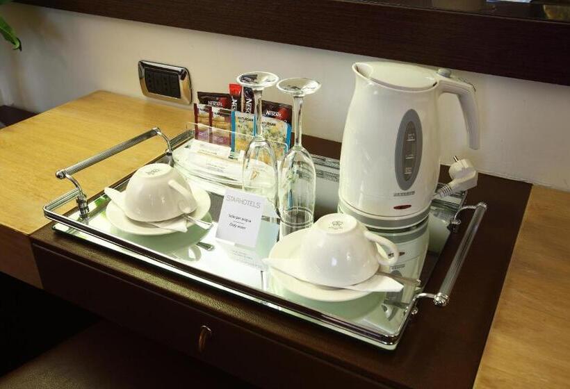 اتاق لوکس با بالکن, Starhotels Ritz