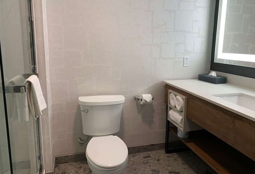 Люкс Адаптированный для Инвалидов, La Quinta Inn & Suites By Wyndham Santa Rosa Sonoma
