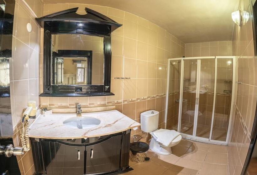 Номер Deluxe, Ephesus Centrum