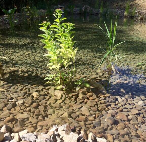 带1个卧室的公寓, Agriturismo San Gregorio