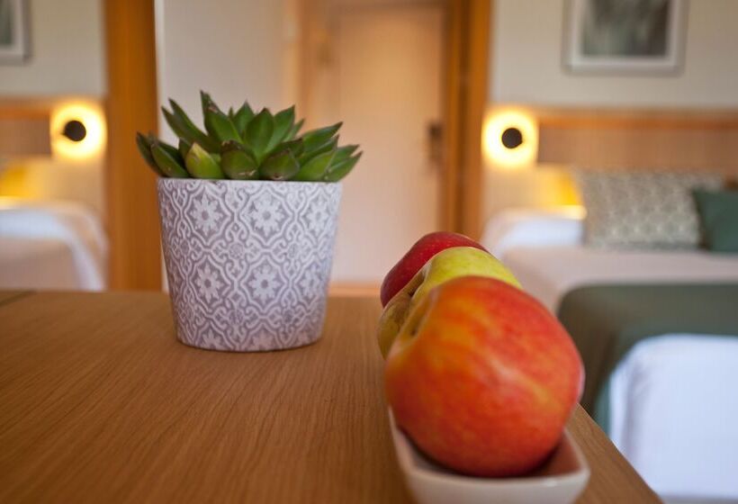 اتاق بزرگ با دسترسی به اسپا, Mon Port Hotel & Spa