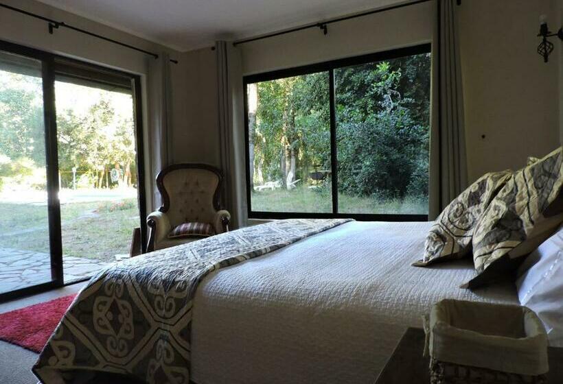 스위트, Casa De Noah Bed & Breakfast