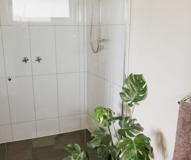 Номер Стандарт, Spring Spur Stay