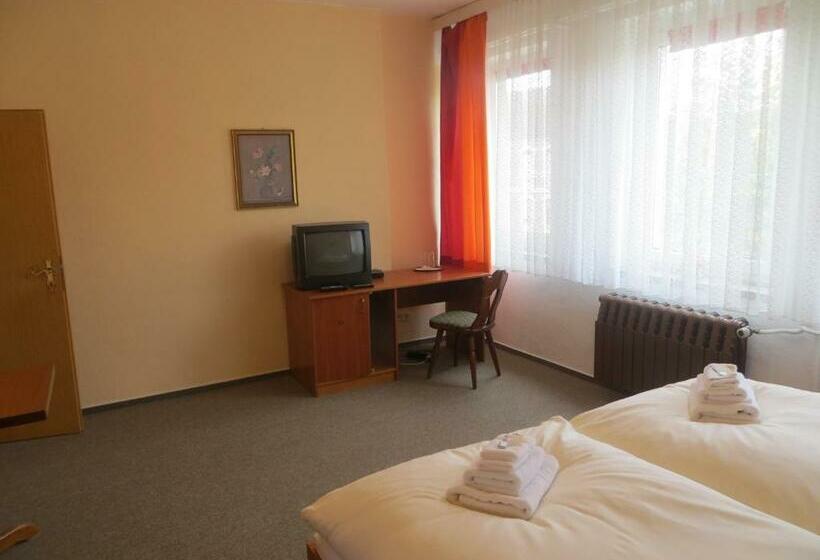 스탠다드 룸, Heidehotel Letzlingen