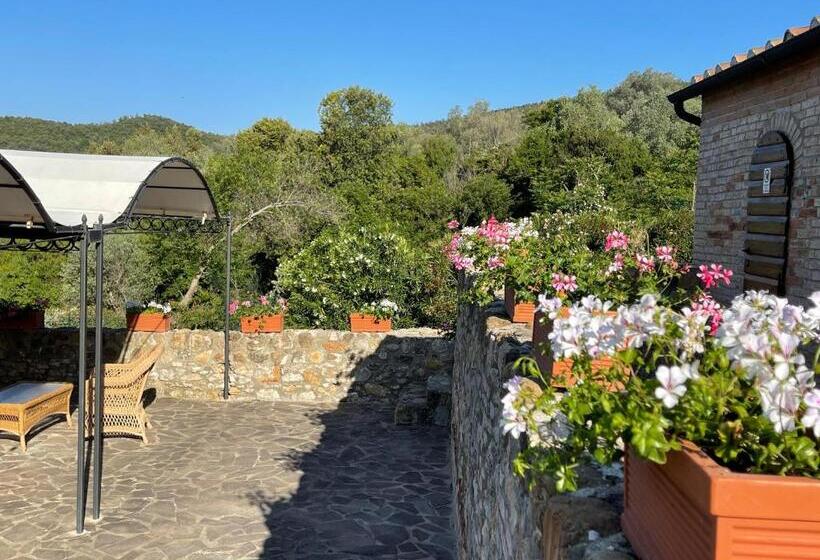 Апартаменты 3 Спальни, Tenuta Montemassi Podere Montauzzo