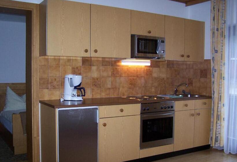 Апартаменты 1 Спальня с Балконом, Ferienwohnung Ski Hans