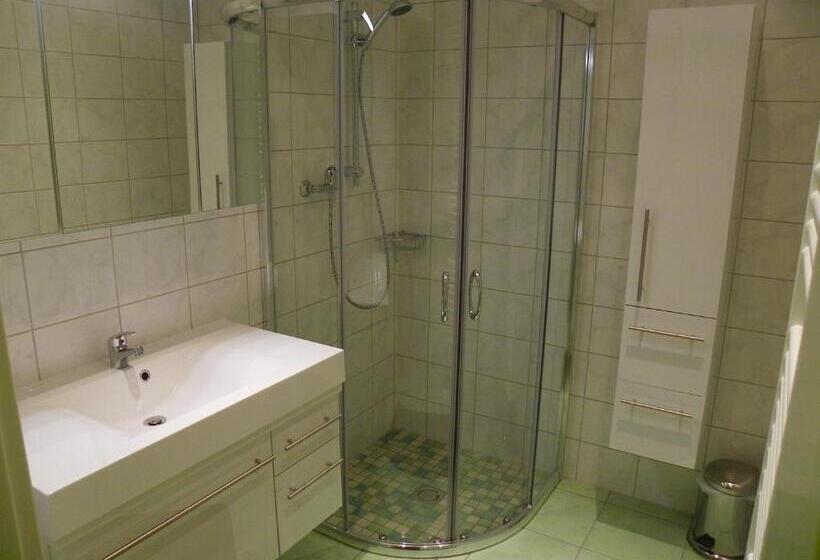 Апартаменты 3 Спальни, Ferienwohnung Ski Hans