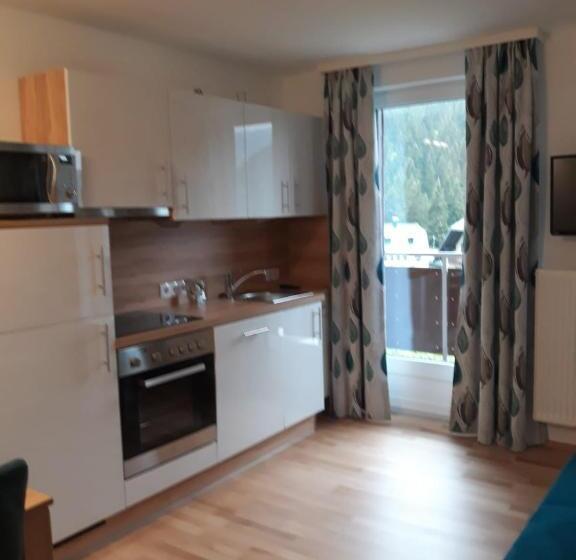 Апартаменты 1 Спальня с Балконом, Ferienwohnung Ski Hans