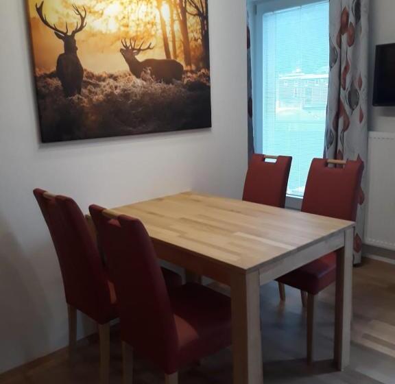 Апартаменты 1 Спальня, Ferienwohnung Ski Hans