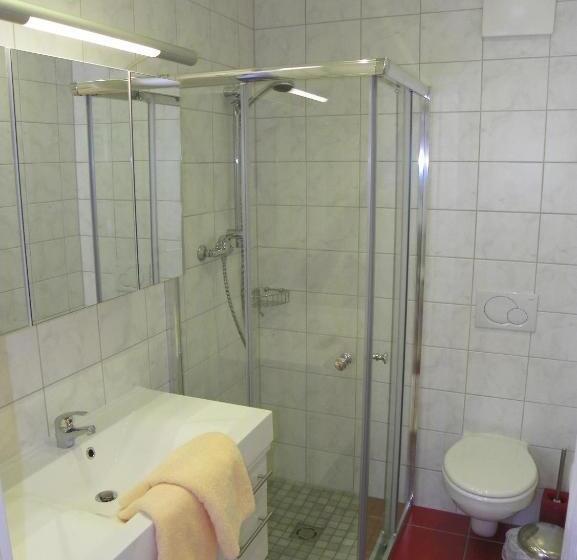 Апартаменты 1 Спальня, Ferienwohnung Ski Hans