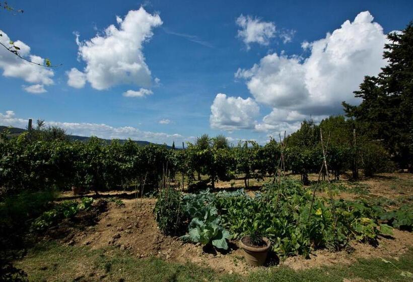 2 Bedrooms Apartment Mountain View, Agriturismo Podere Acqualoreto