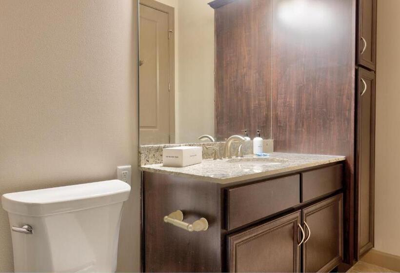 Апартаменты 2 Спальни, Kasa Central West End St Louis