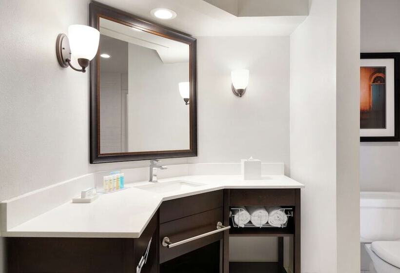 Люкс Кровать Кинг, Hampton Inn & Suites New Orleansconvention Center