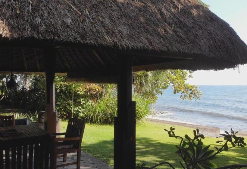 Вилла 1 Спальня Вид на Море, Ciliks Beach Garden