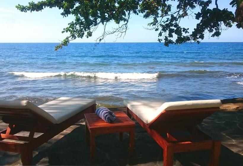 Вилла 1 Спальня Вид на Море, Ciliks Beach Garden