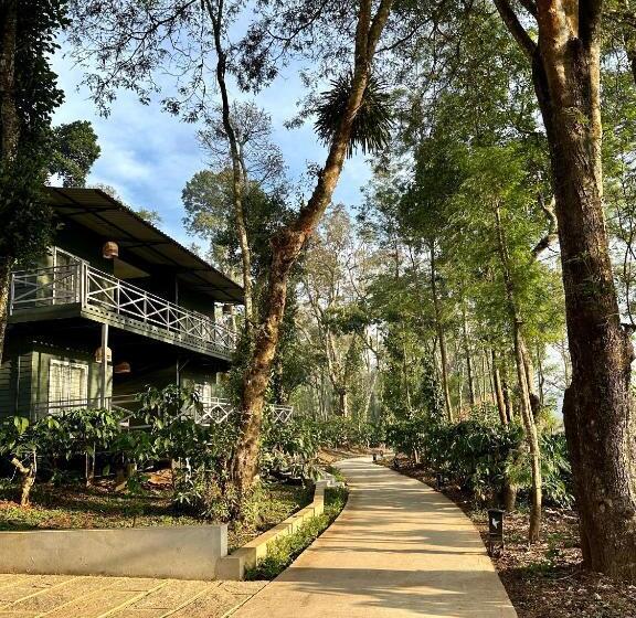 标准间, Machaan Wilderness Lodge Nagarahole