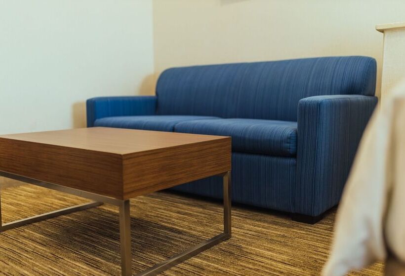스위트, Holiday Inn Express Davis University Area, An Ihg