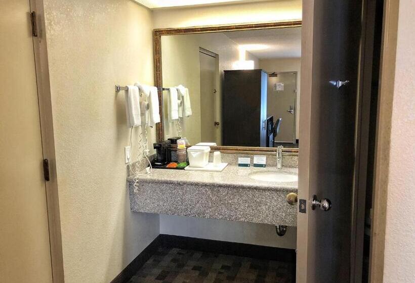 스탠다드 룸 더블 침대 2개, Quality Inn Riverside Near Ucr And Downtown