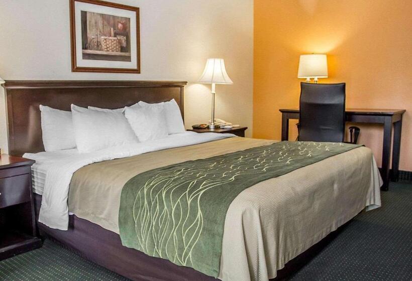 스탠다드 룸 킹사이즈 침대, Quality Inn Riverside Near Ucr And Downtown