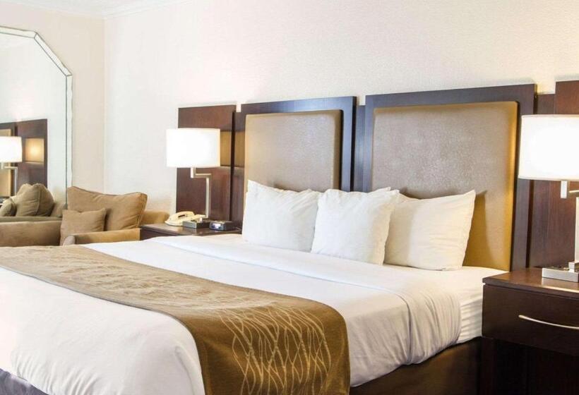 غرفة قياسية سرير كينج, Comfort Inn Oceanside Deerfield Beach