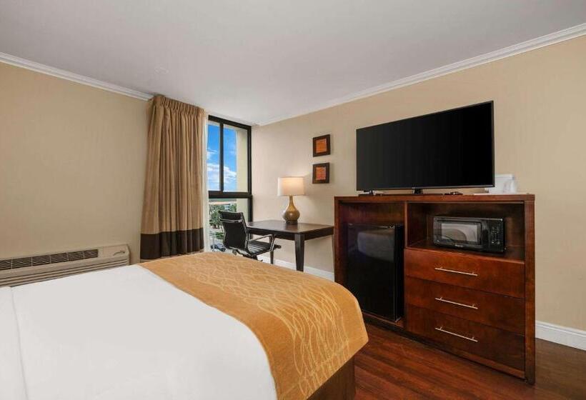 غرفه قياسيه سريرين مزدوجين, Comfort Inn Oceanside Deerfield Beach