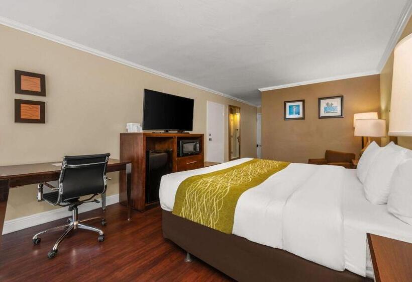غرفة قياسية سرير كينج, Comfort Inn Oceanside Deerfield Beach