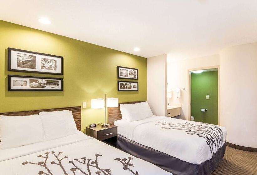 스탠다드 룸 더블 침대 2개, Sleep Inn & Suites