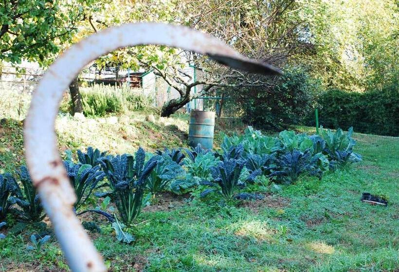 Апартаменты 1 Спальня Вид на Сад, Agriturismo Fattoria Walden