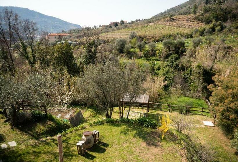 Номер Superior Вид на Сад, Amandolevanto B&b
