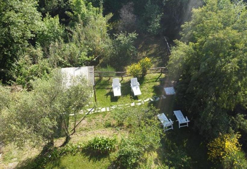 Стандартный Номер Кровать Кинг, Amandolevanto B&b