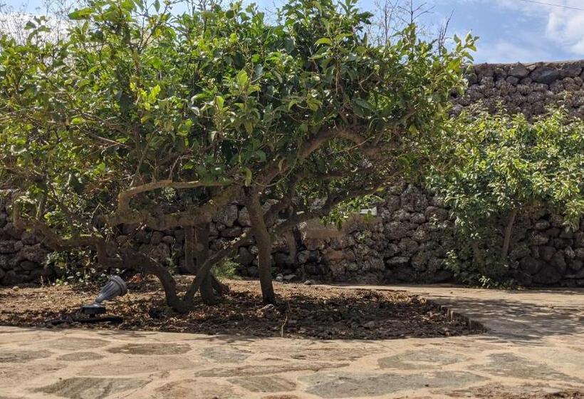 스탠다드 룸, Horizon Pantelleria