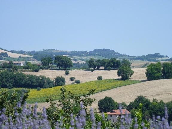اتاق سوپریور با تخت بزرگ, Country House Il Sassòne