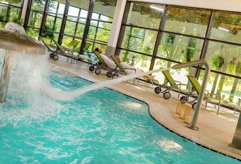 Номер Стандарт с доступом в Спа, Oca Palacio De La Llorea Hotel & Spa