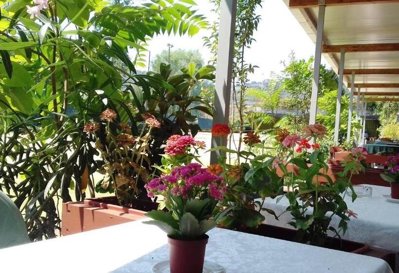 سوییت جونیور, A Casa Di Nené