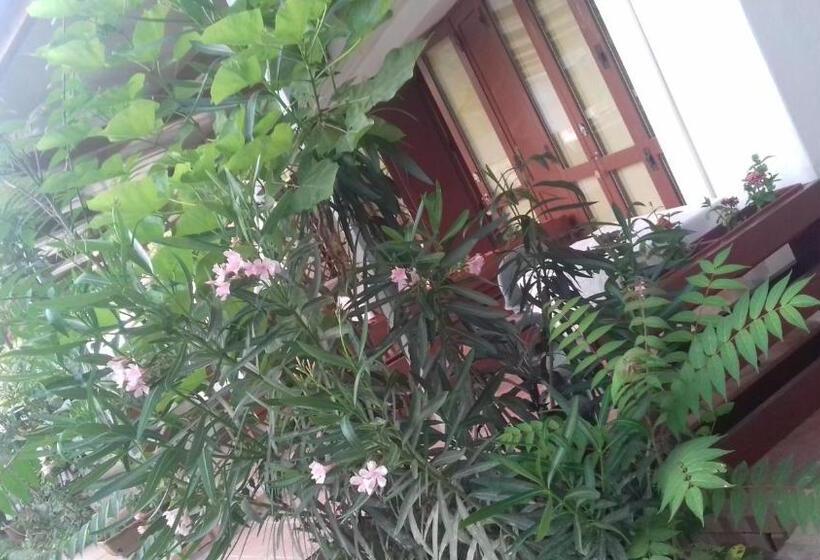 اتاق استاندارد, A Casa Di Nené