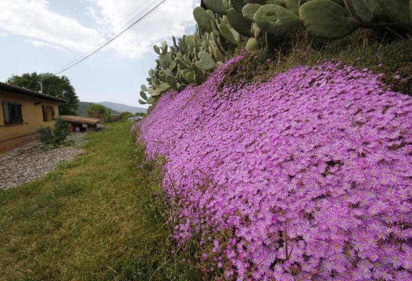 Апартаменты 1 Спальня, Agriturismo Cupido