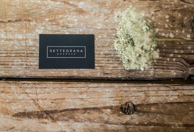 Номер Стандарт, Settegrana