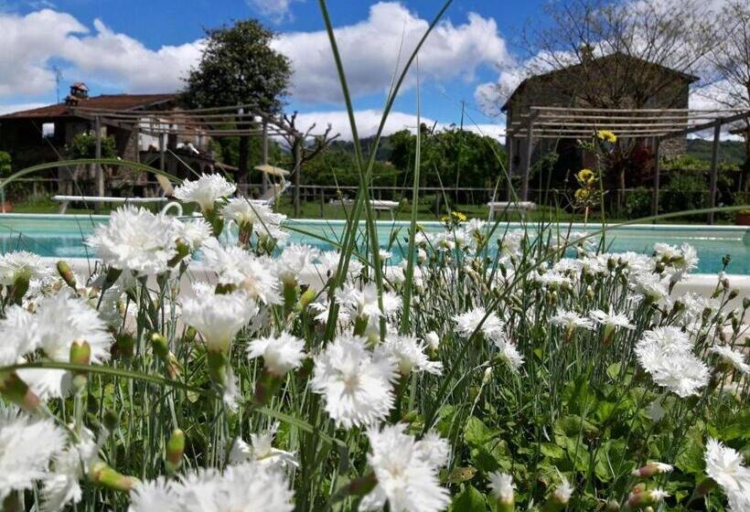 1间卧室的房子, Agriturismo Chioi