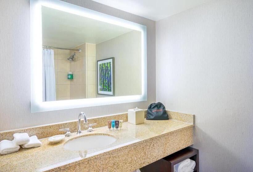 חדר דחוקס עם מיטת קינג, Astor Crowne Plaza  Corner Of Bourbon Street