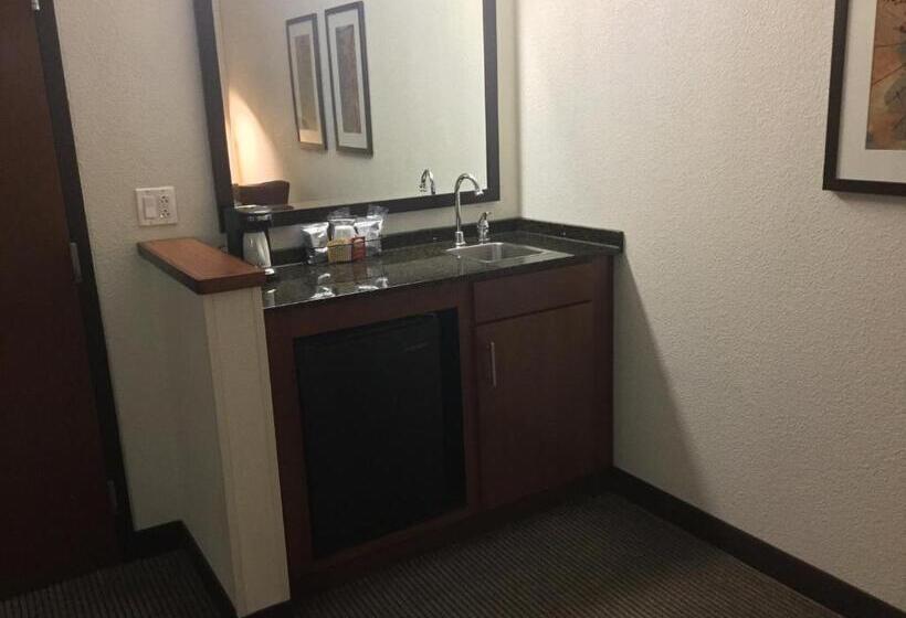 스탠다드 룸 킹사이즈 침대, Hyatt Place Nashville Airport