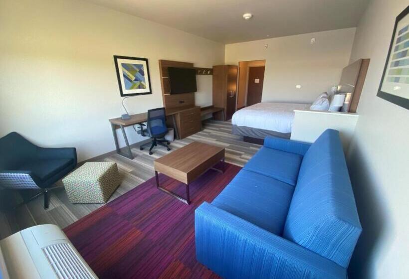 스위트 킹사이즈 침대, Holiday Inn Express & Suites   Madison West   Middleton, An Ihg
